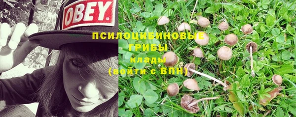 амф Бабаево